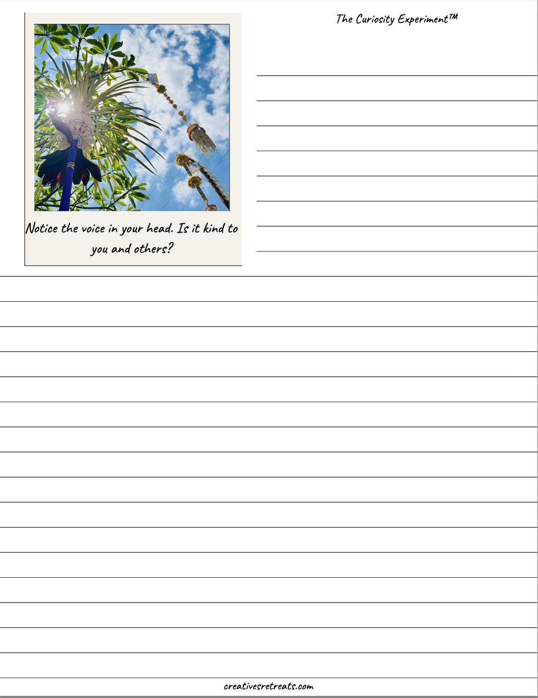 Curiosity Experiment in PDF Journal form