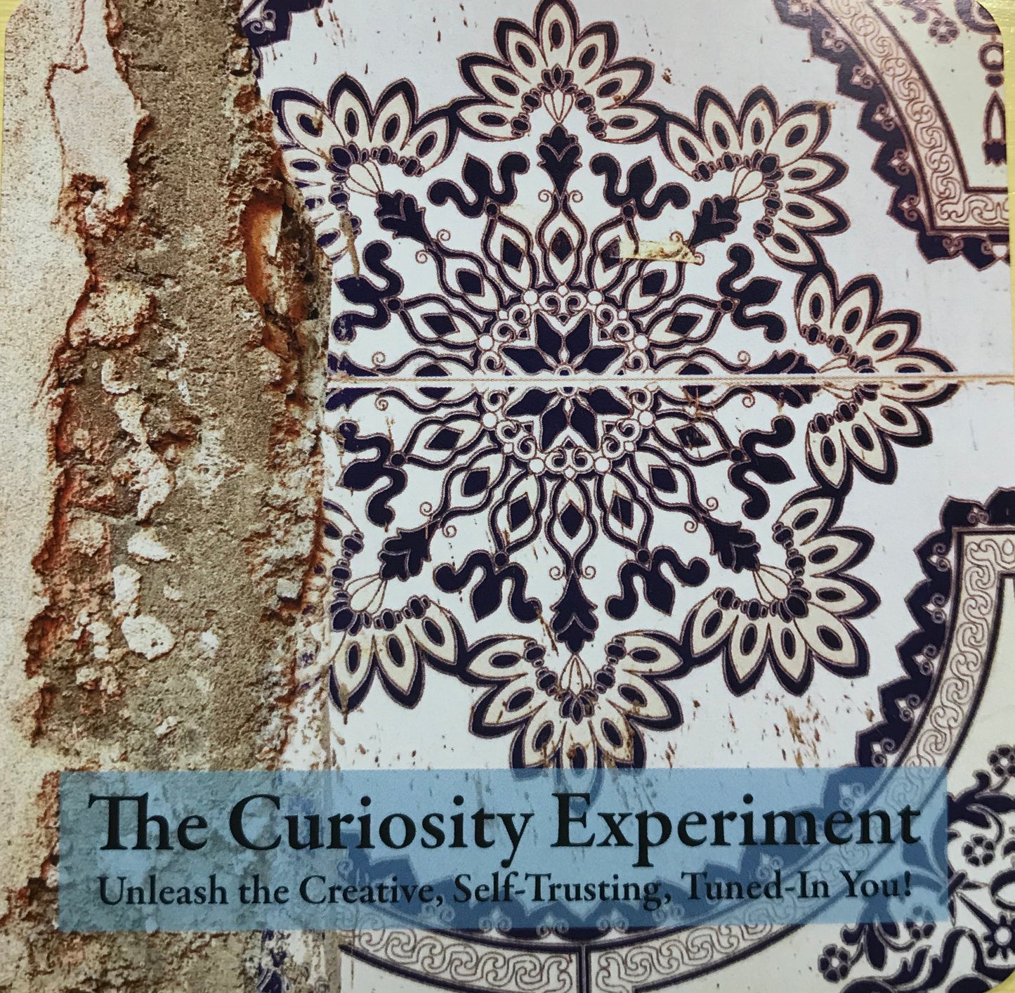 The Curiosity Experiment™ Cards