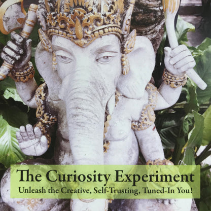 The Curiosity Experiment™ Cards