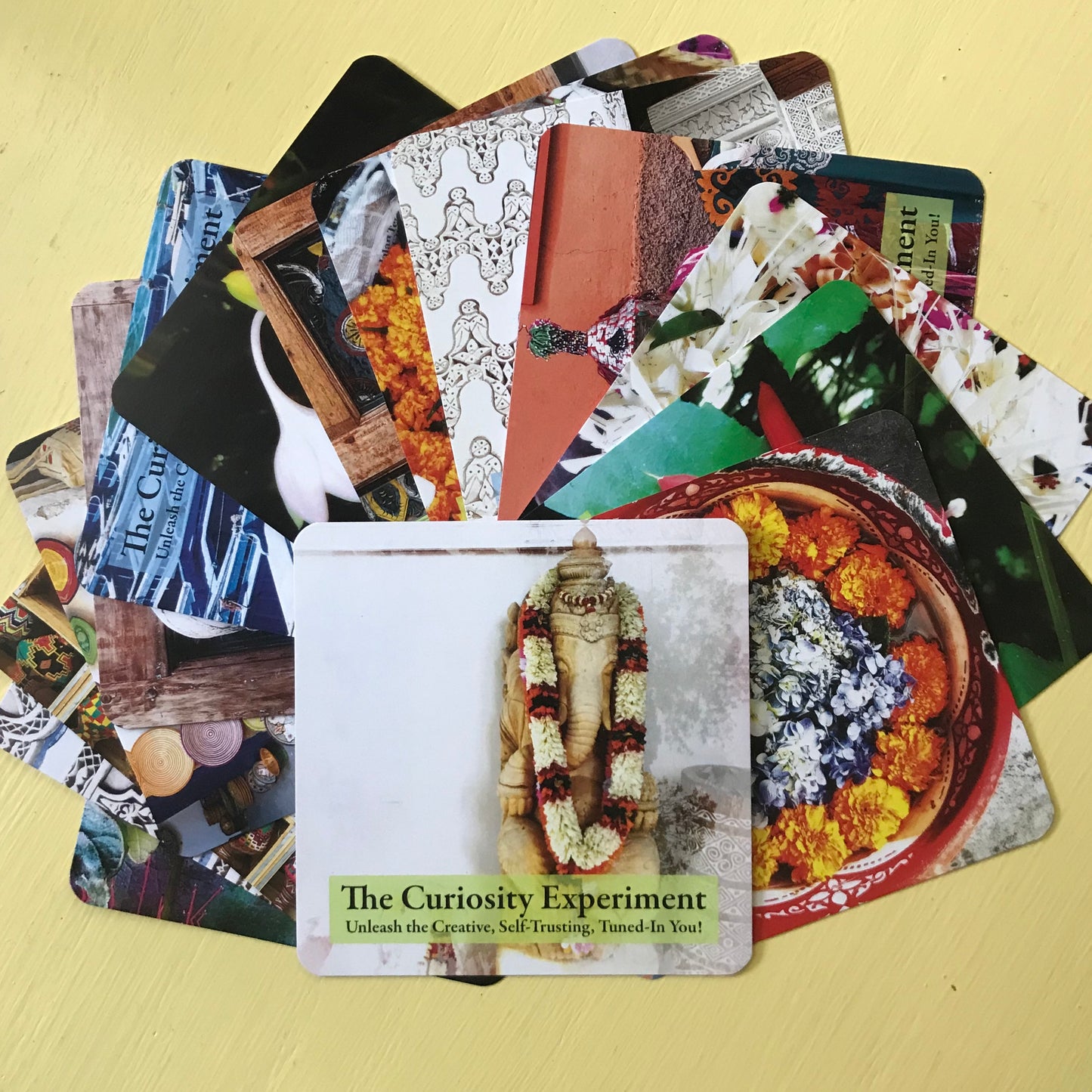 The Curiosity Experiment™ Cards
