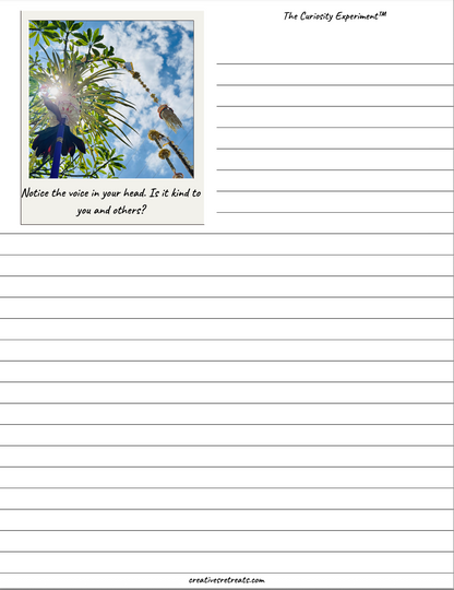 Curiosity Experiment in PDF Journal form